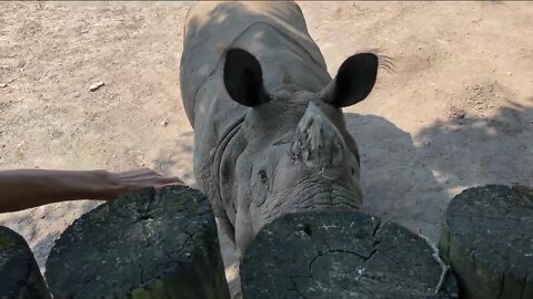 Mel Camp visits the Buffalo Zoo Part 3