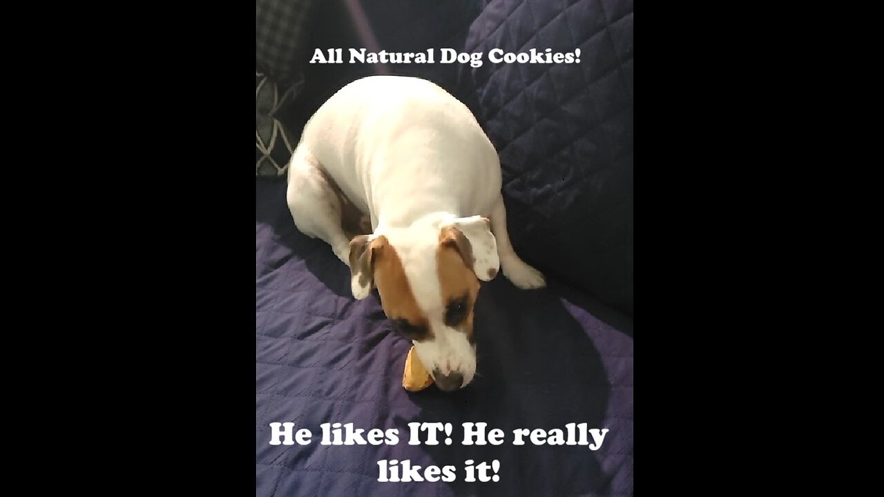 All Natural Dog Treats! Your Dog Will Love!