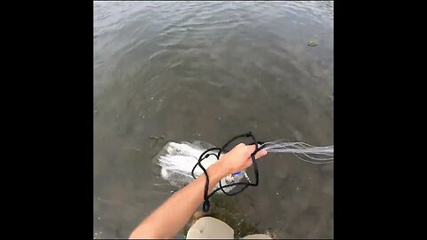 cast netting the river