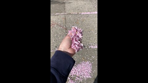 This Shouldn’t Thrill an Adult Man So Much