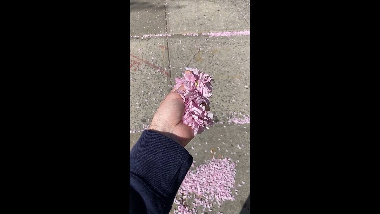 This Shouldn’t Thrill an Adult Man So Much