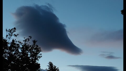 Crazy Cloud Cam | Image Set 020 | Grey Bouquet