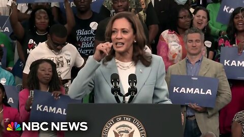 What VP Harris’ track record on immigration reveals about her performance on border issues| RN