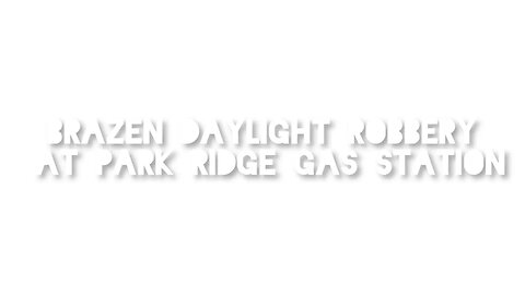 Brazen Daylight Robbery at Park Ridge Gas Station