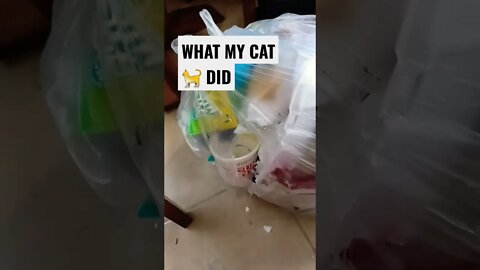 Hope it was GOOD!