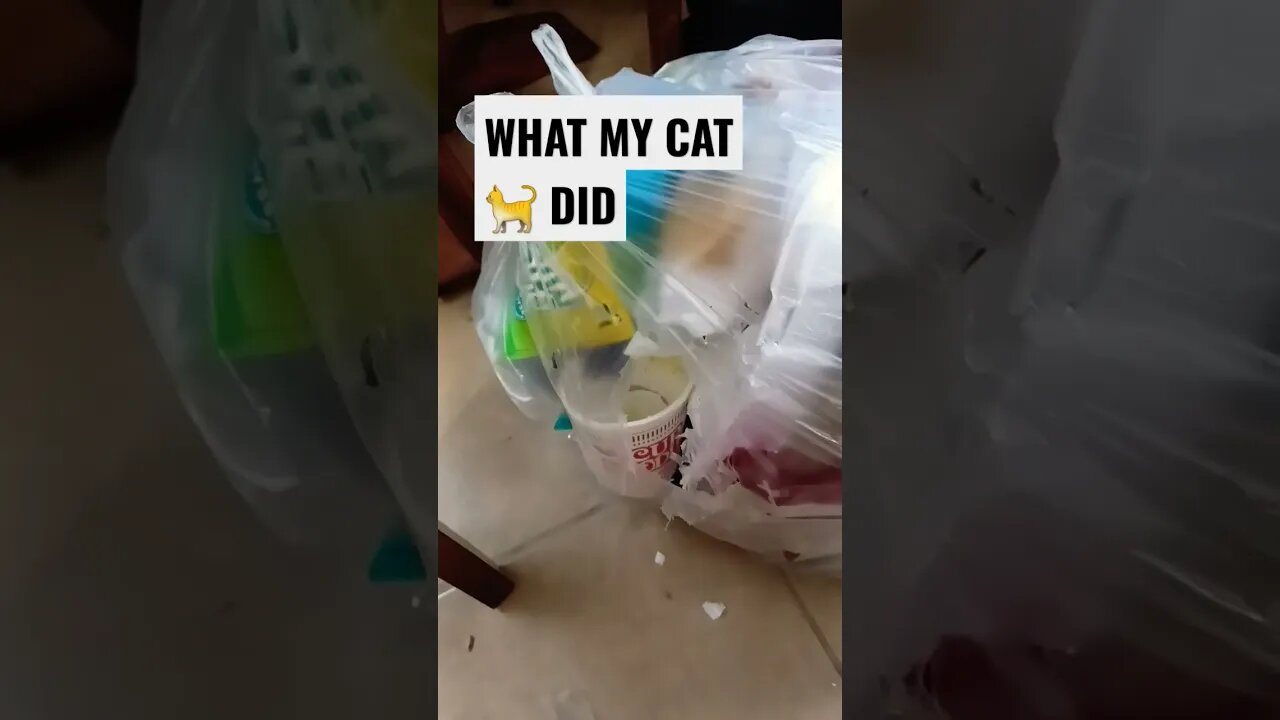 Hope it was GOOD!