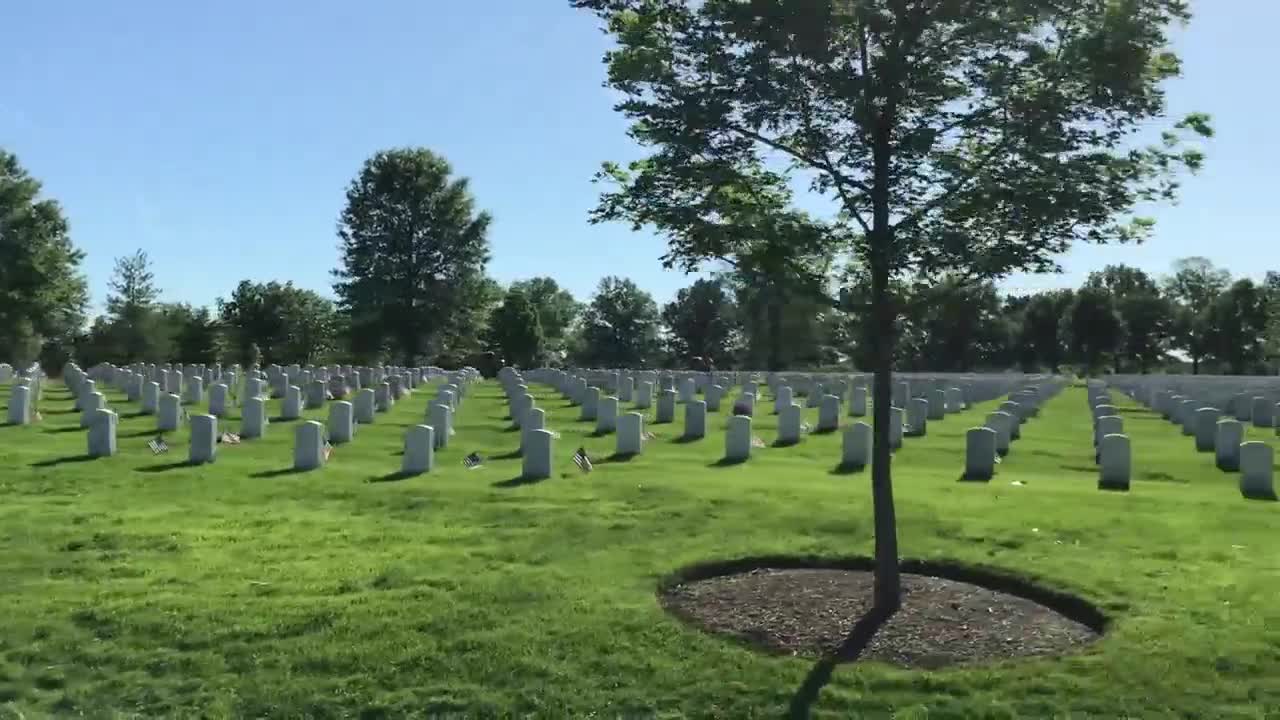 Purple Heart Honor Flight