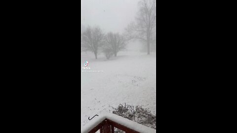 Massive Snow Storm In NY In March