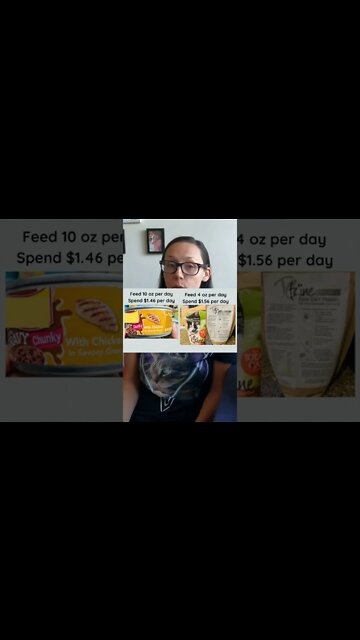 Homemade raw cat food is cheaper than crappy canned food #shorts