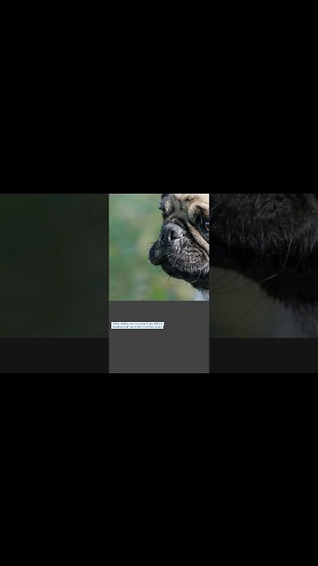 When Will The Crypto Bear Market End? #shorts #cryptonews #altcoin