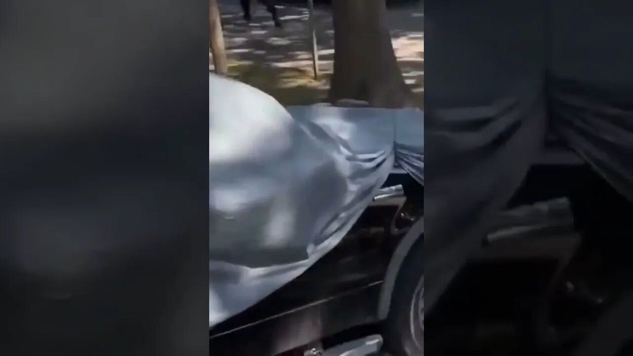 Woman steals police car.