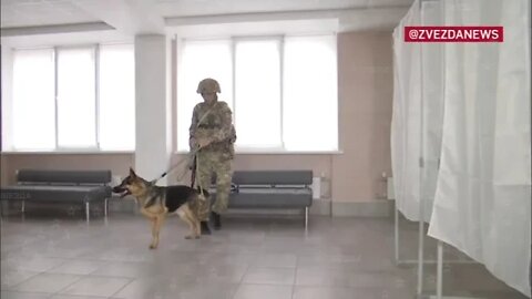 dog handlers and military check all polling stations