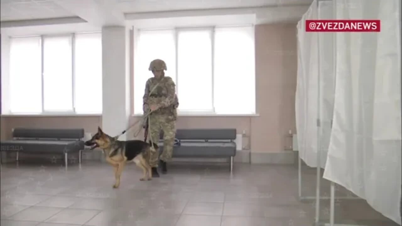 dog handlers and military check all polling stations