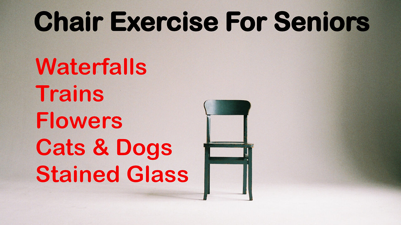 Chair Exercise for Seniors - Cats & Dogs