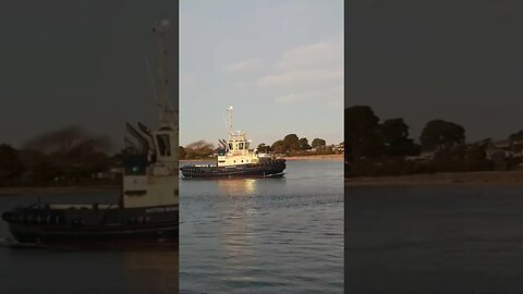 Svitzer Bondi Finishes Work.#trending #shorts #merchantnavy #tuglife #tug #tugboat #ocean #tasmania