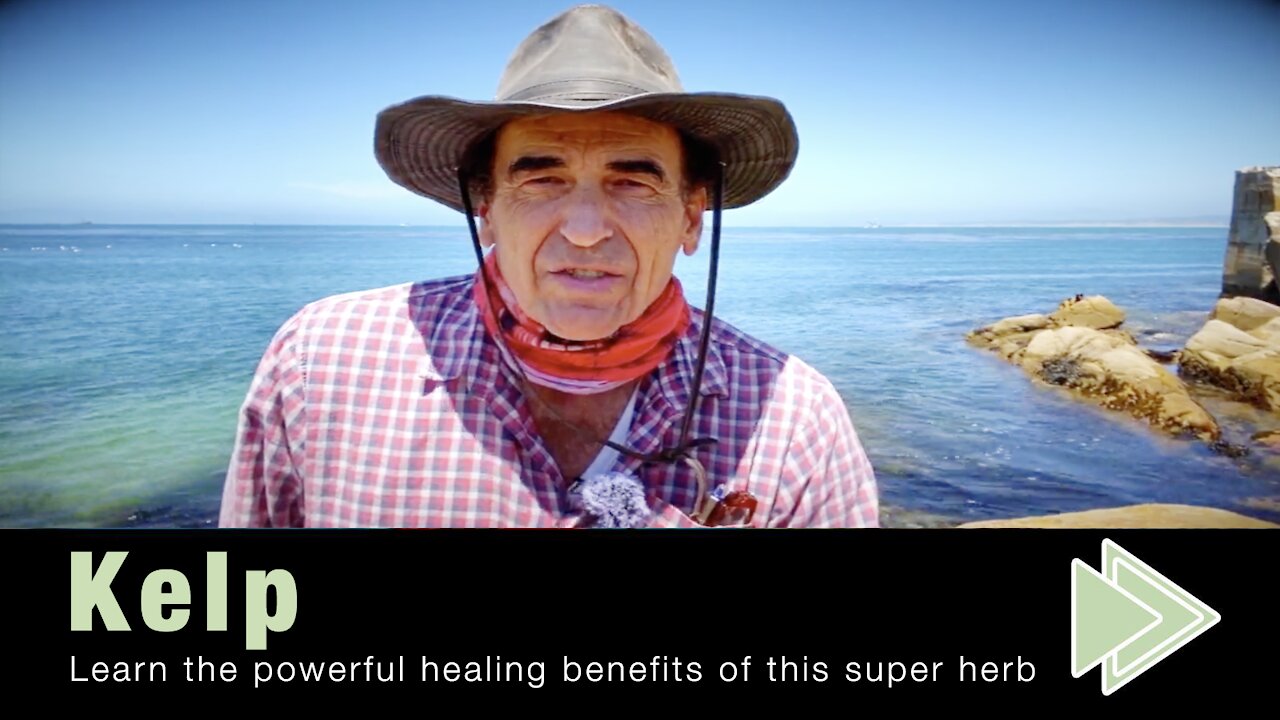 Health Benefits of Kelp