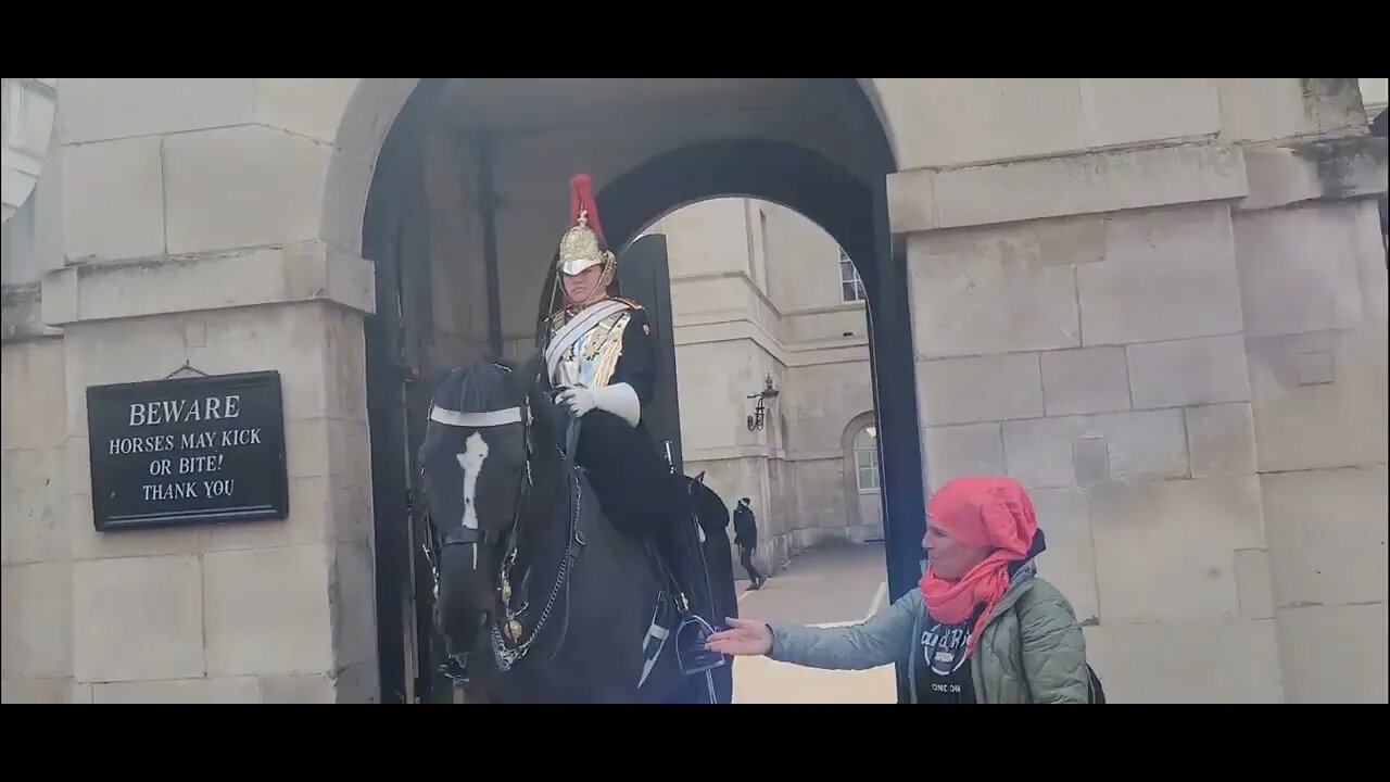 Female kings guard makes it clear she doe's not want Karen to touch her horse #horseguardsparade