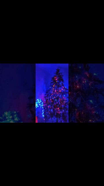 My Christmas tree and fireplace.