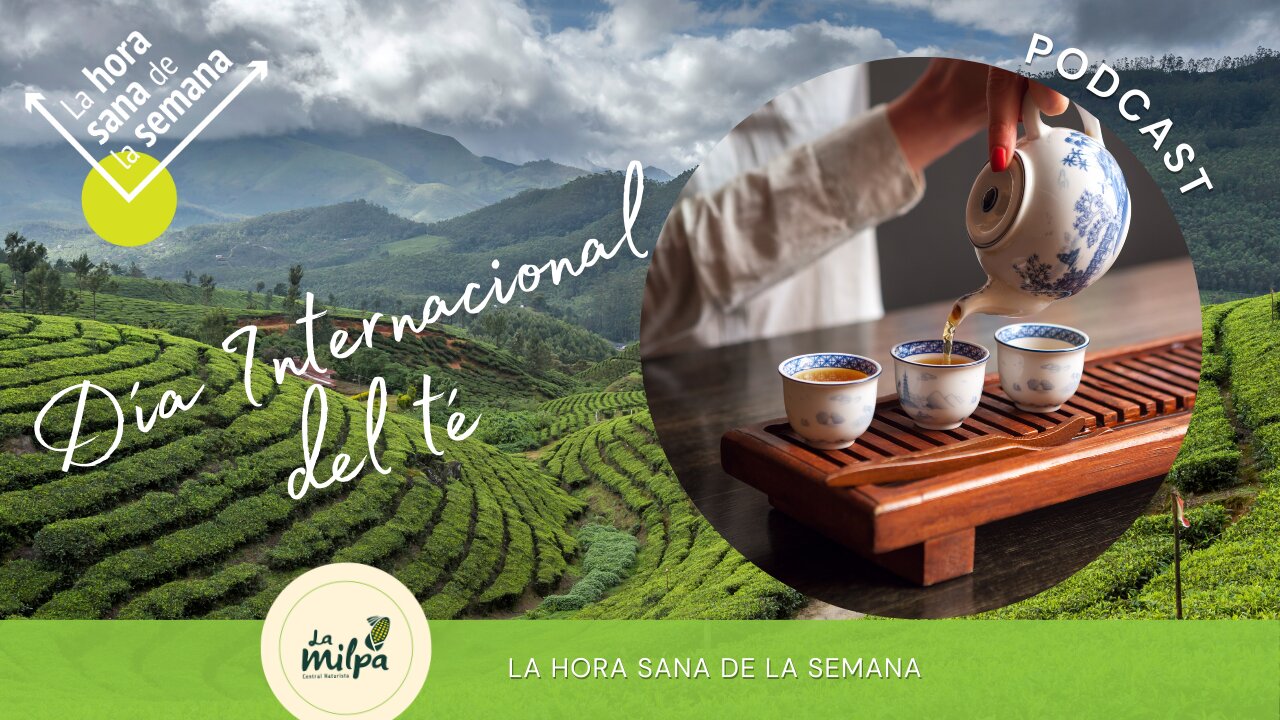 Día Internacional del Té