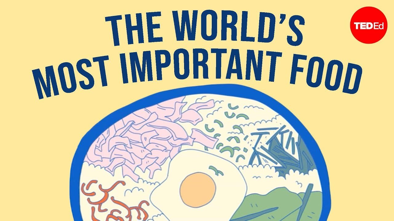 Why is Rice so popular?