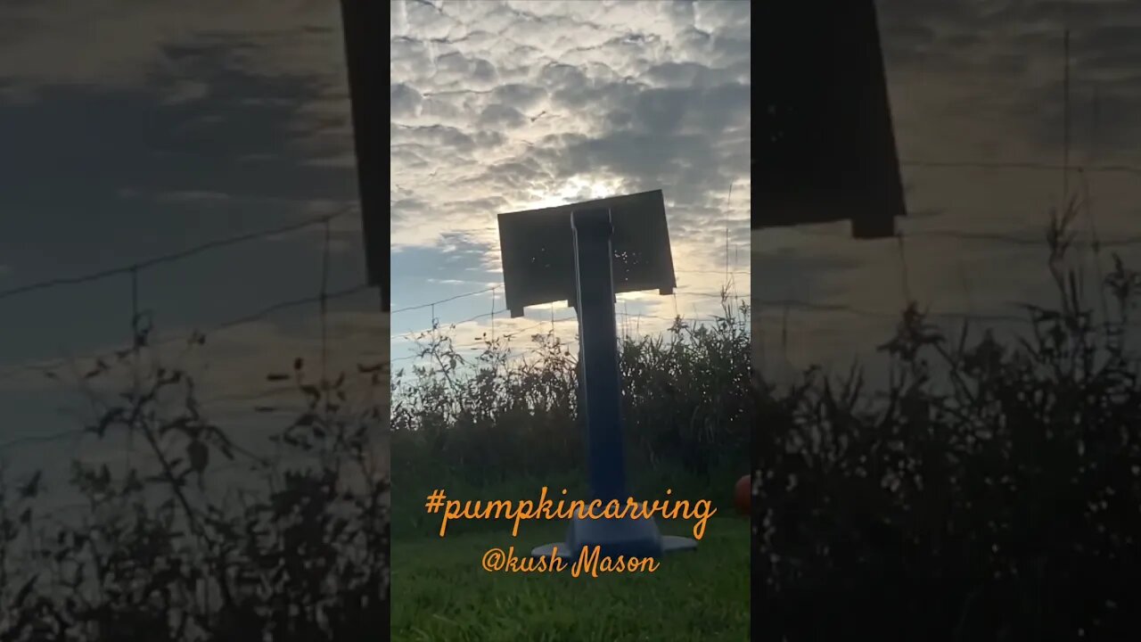 Bad day for pumpkins 🎃