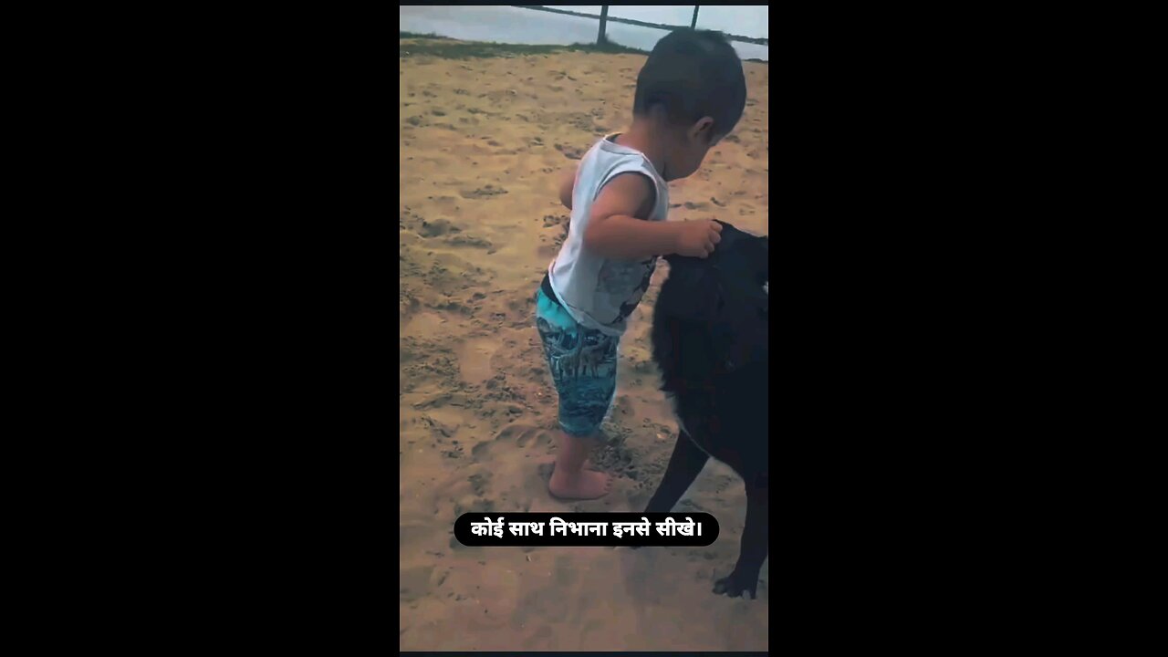 cute animal