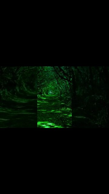 srivalli | pushpa srivalli song | srivalli song | onliy multimedia | @onliymultimedia