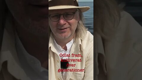 Tankar på havet 25 maj trailer.