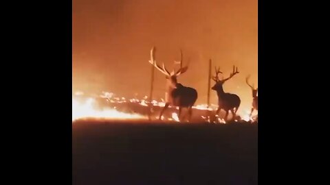 Fires in Western Wyoming