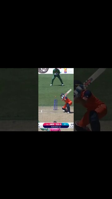 #cricket