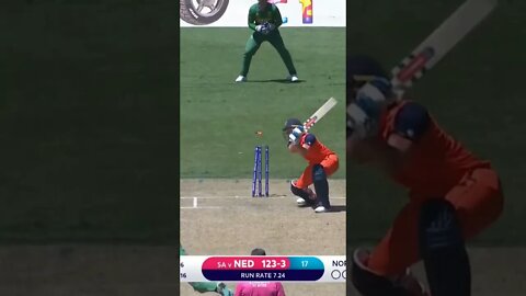 #cricket