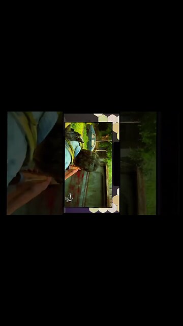 The Last of Us Part 1 on a LG C1! Full video on my channel #gamingsetup #gaming #thelastofus