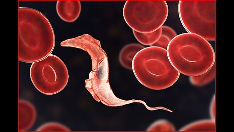 10 Parasites And Pathogens That Control The Minds Of Human Hosts