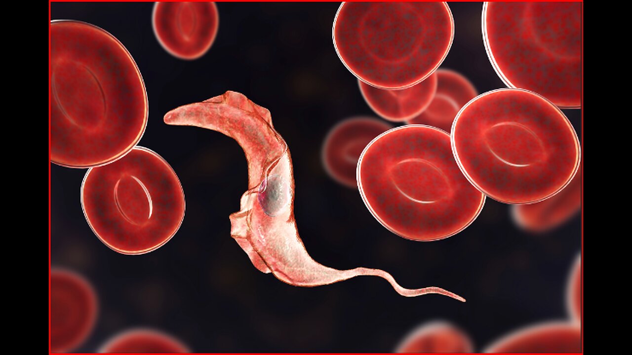 10 Parasites And Pathogens That Control The Minds Of Human Hosts