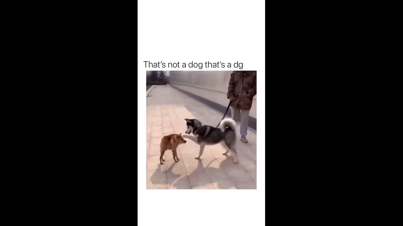 💀💀ðŸ˜ðŸ˜‚