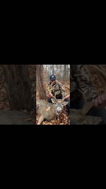 Big Buck Located, Drone Deer Recovery