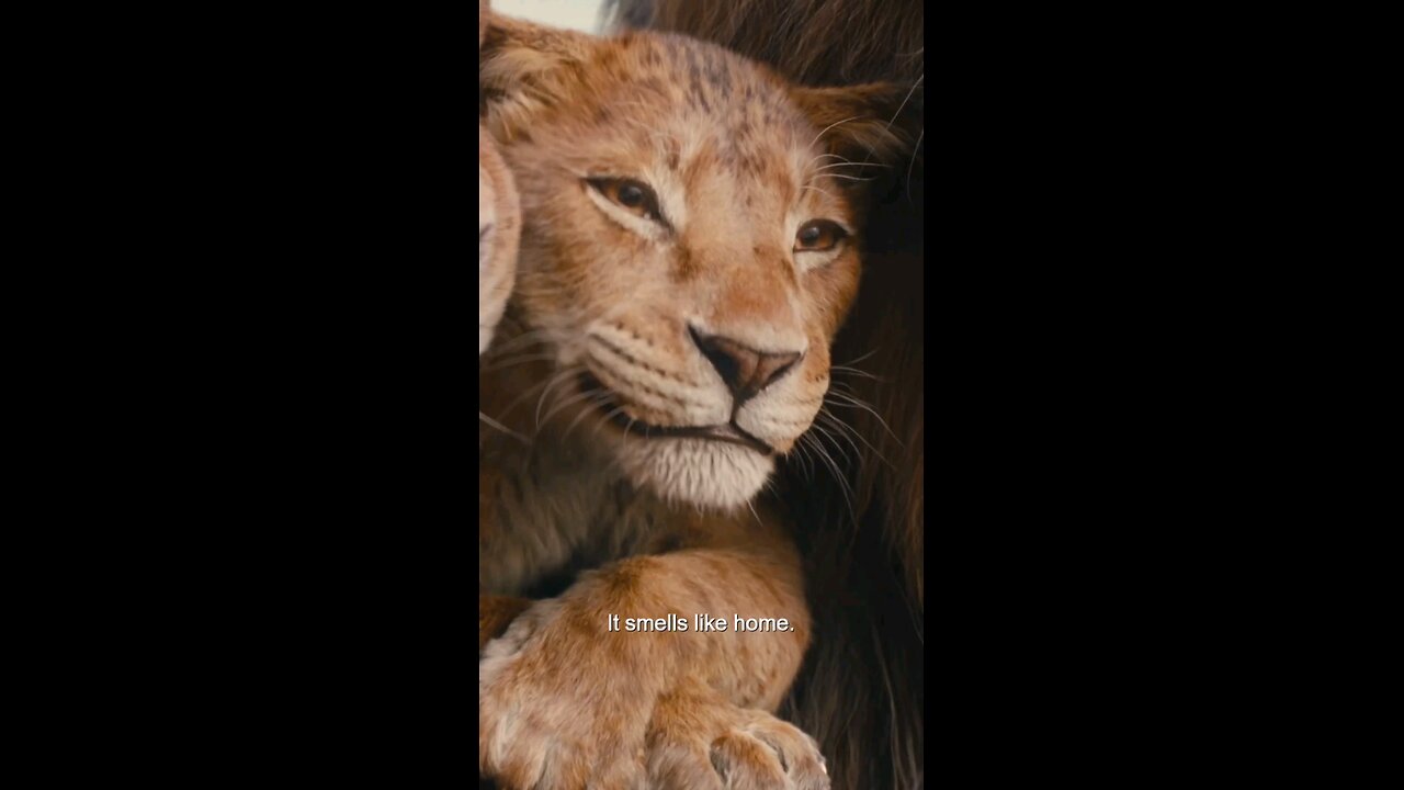 "Unveil the Legend: 'Mufasa' Trailer Drops! 🦁🔥 See the Epic Return of the Lion King’s Legacy!"