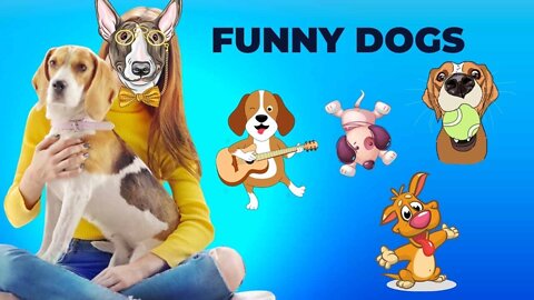 Funny Dog Videos