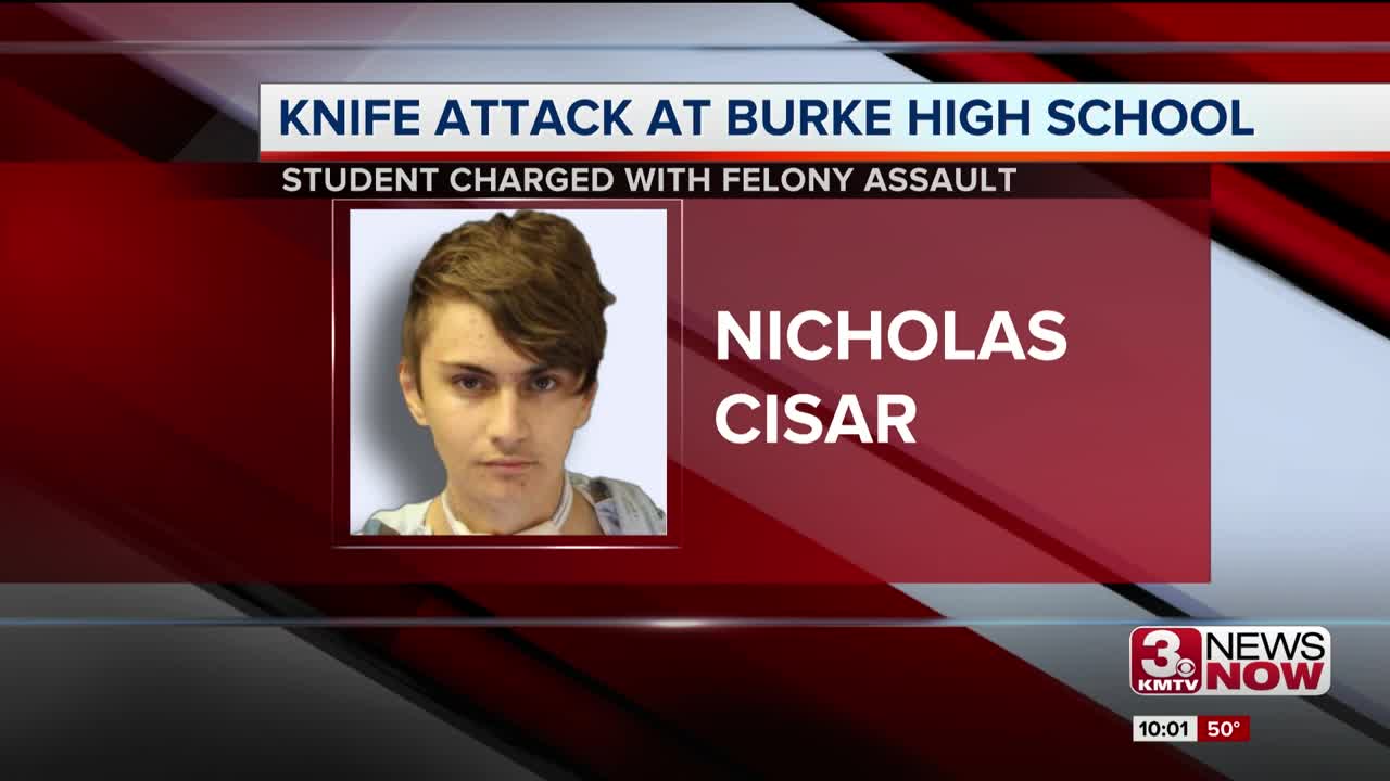 Teen booked for Burke High School stabbing