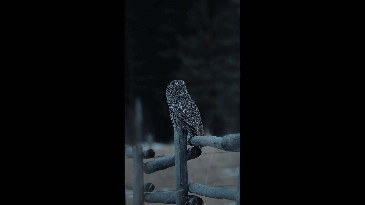 What’s it’s saying
