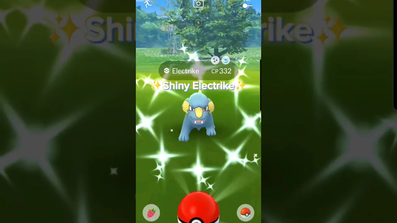 #shiny #electrike #pokemon #shinypokemon #pokemongo #shinyhunting #foryou #fyp #fypシ #followformore