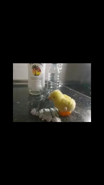 Exclusive footage of Zelensky