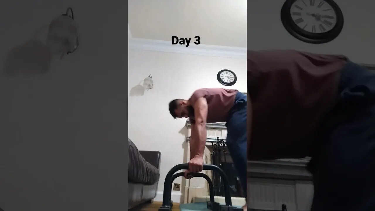 Day 3 - Learning How To Do Handstand Push Ups