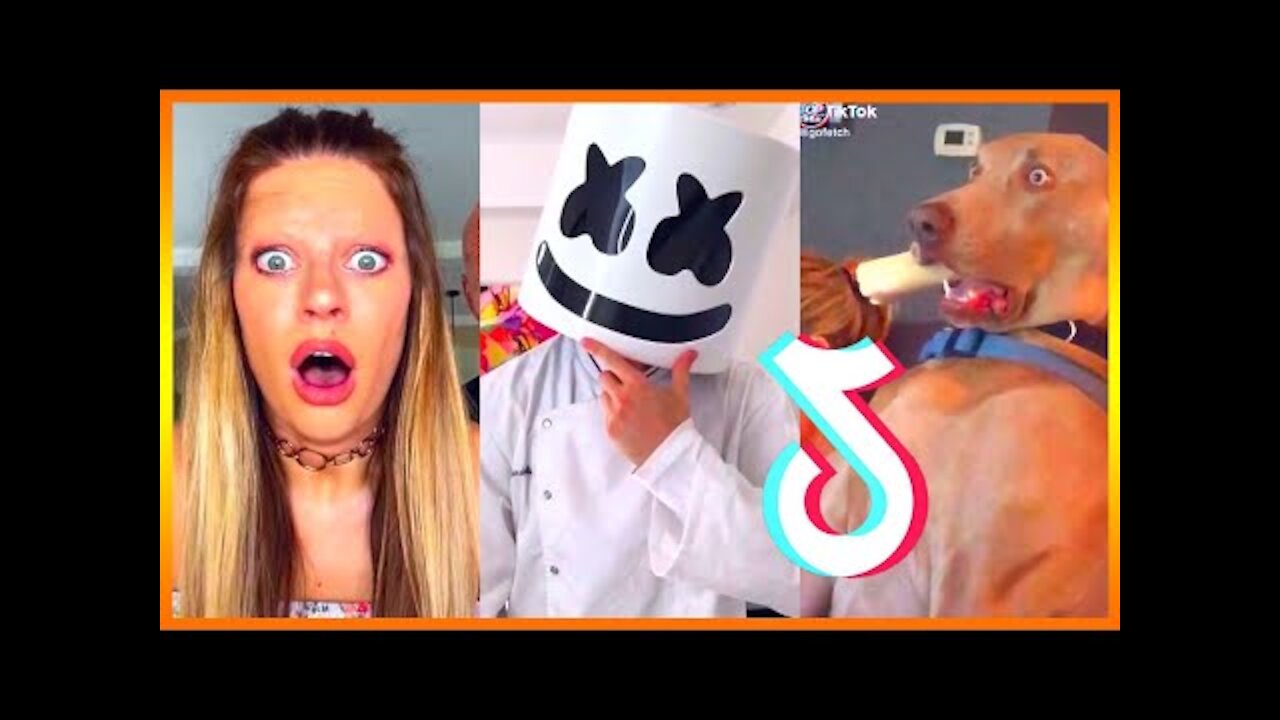 Try not to laugh Best tiktok help you relieve some stress