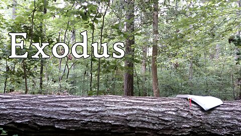 Exodus | The Holy Bible | Old Testament 2/39