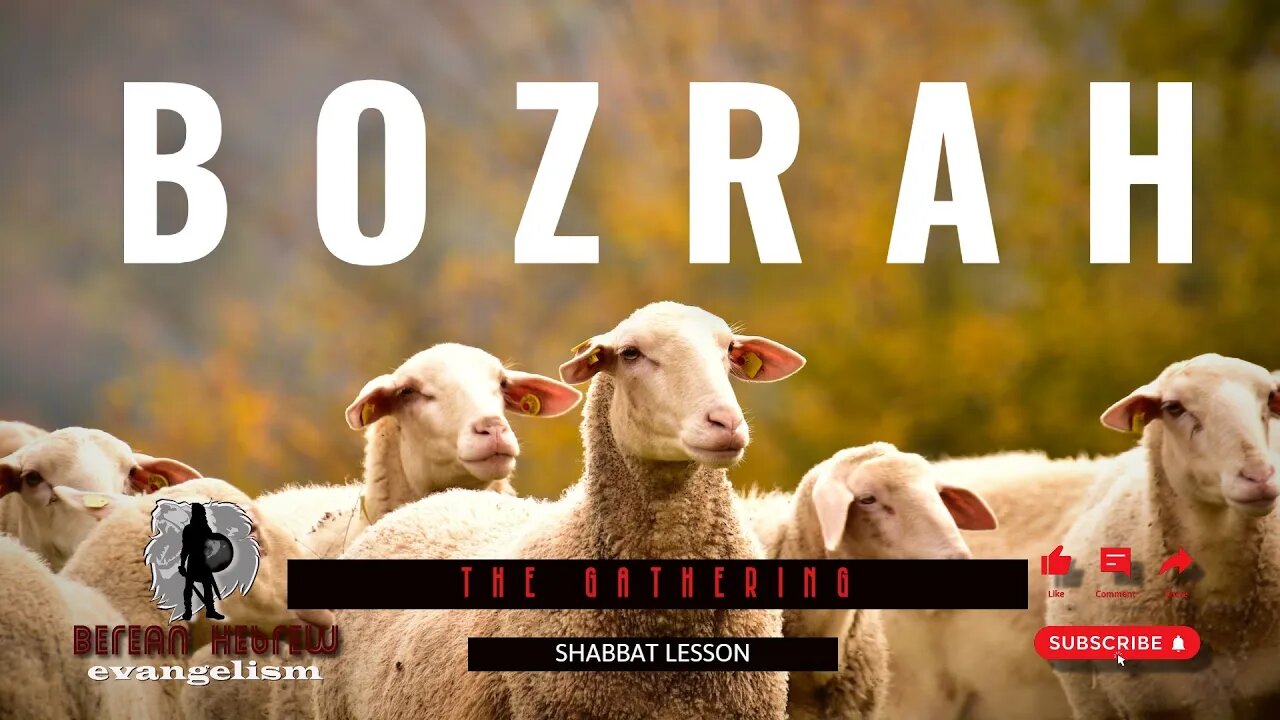 BOZRAH | THE GATHERING | SHABBAT LESSON | HEBREW FAITH #negros #israelites #caribbean