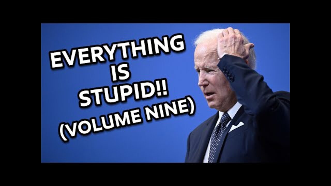 EVERYTHING IS STUPID!! (VOLUME NINE)