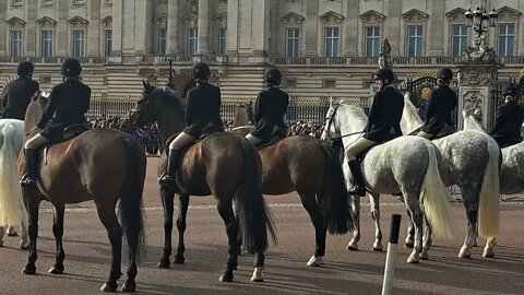 police horse's in training #buckinghampalace