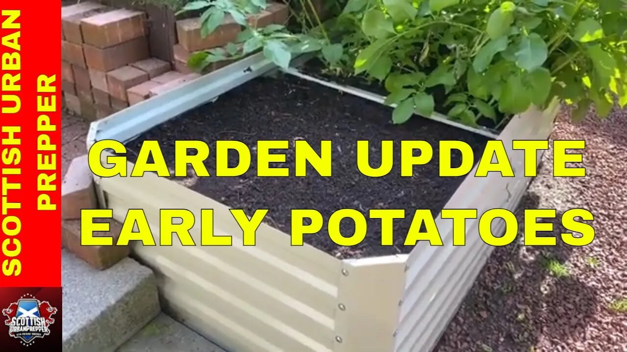 Update on the Potatoes