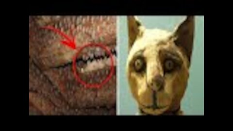 20 Disturbing Things People Have Found Hidden Inside The Walls Of Their Homes